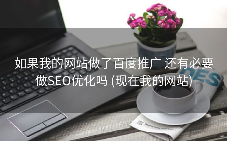 如果我的网站做了百度推广 还有必要做SEO优化吗 (现在我的网站)