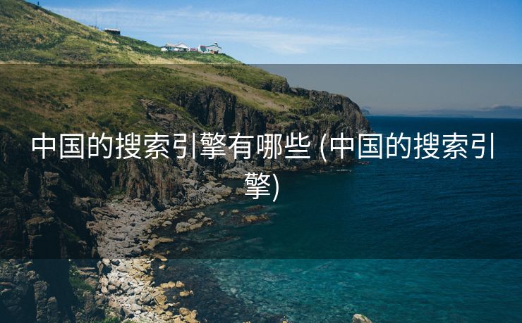 中国的搜索引擎有哪些 (中国的搜索引擎)
