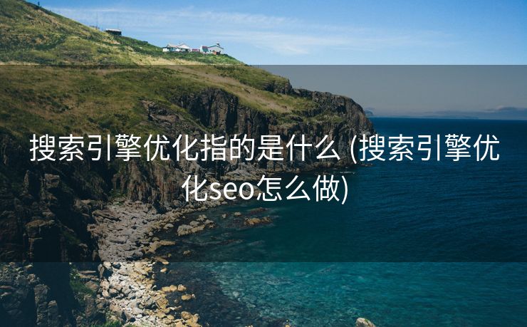 搜索引擎优化指的是什么 (搜索引擎优化seo怎么做)