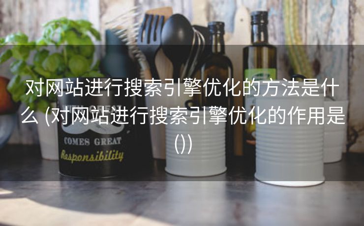 对网站进行搜索引擎优化的方法是什么 (对网站进行搜索引擎优化的作用是())