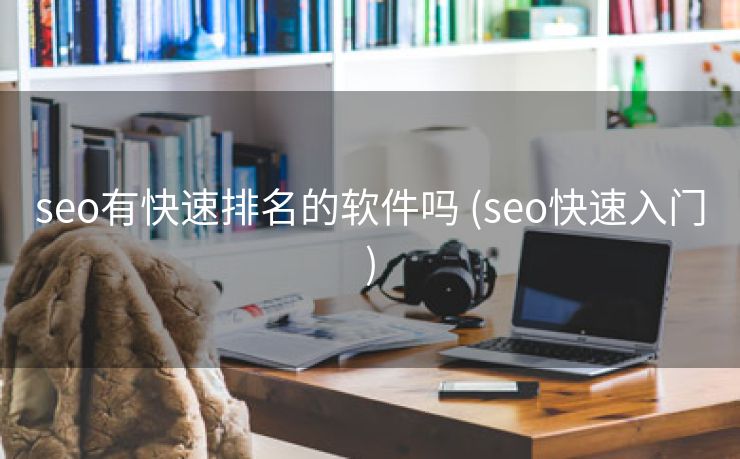 seo有快速排名的软件吗 (seo快速入门)