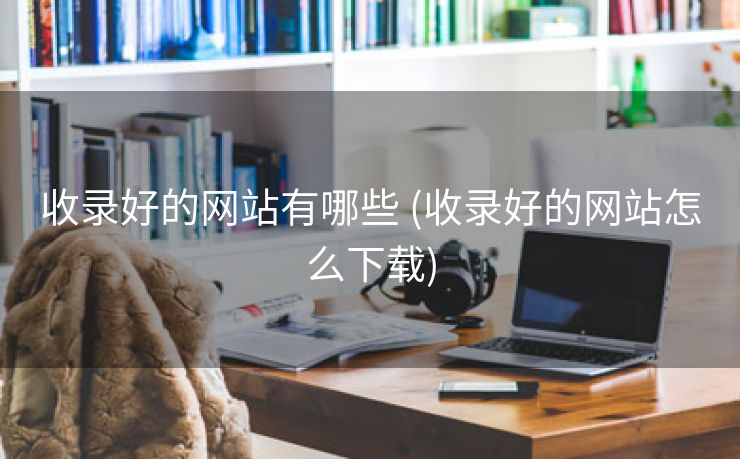 收录好的网站有哪些 (收录好的网站怎么下载)