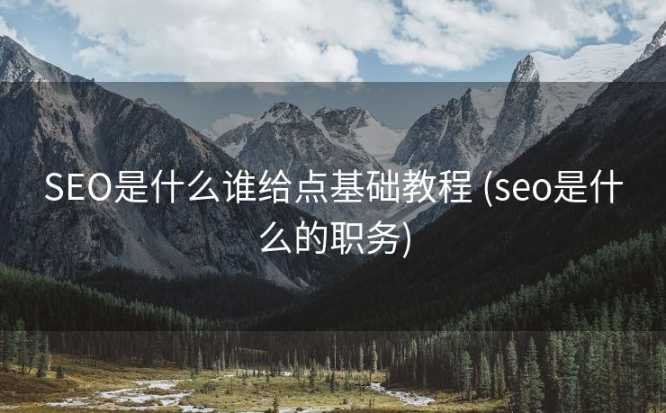 SEO是什么谁给点基础教程 (seo是什么的职务)