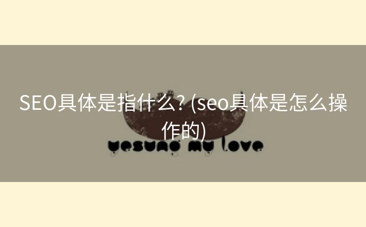 SEO具体是指什么? (seo具体是怎么操作的)