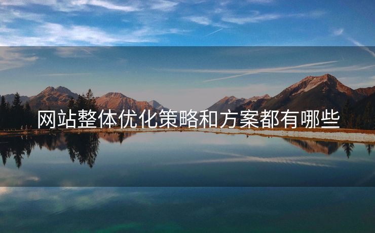 网站整体优化策略和方案都有哪些