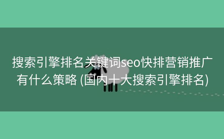 搜索引擎排名关键词seo快排营销推广有什么策略 (国内十大搜索引擎排名)
