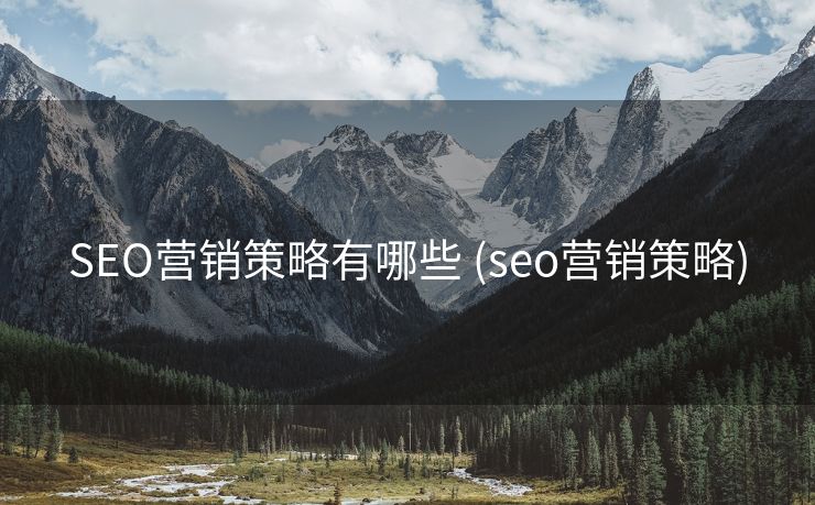 SEO营销策略有哪些 (seo营销策略)
