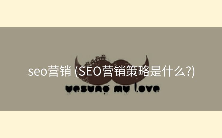 seo营销 (SEO营销策略是什么?)