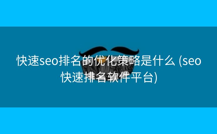 快速seo排名的优化策略是什么 (seo快速排名软件平台)