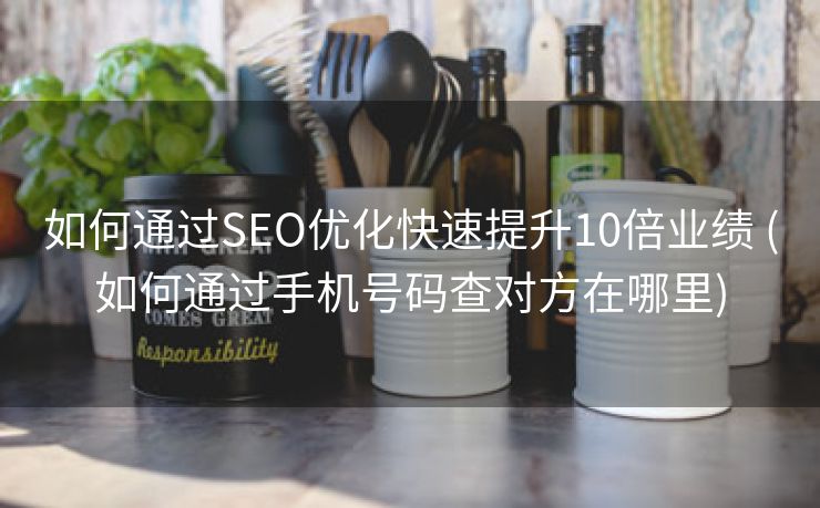 如何通过SEO优化快速提升10倍业绩 (如何通过手机号码查对方在哪里)