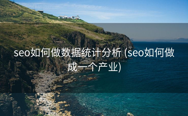 seo如何做数据统计分析 (seo如何做成一个产业)