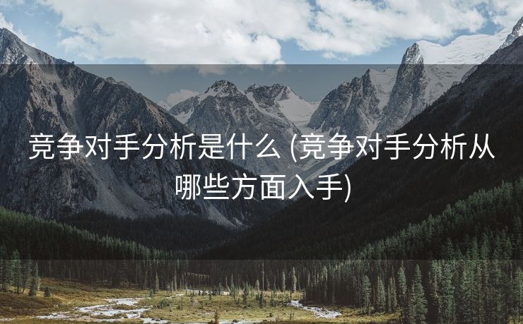 竞争对手分析是什么 (竞争对手分析从哪些方面入手)