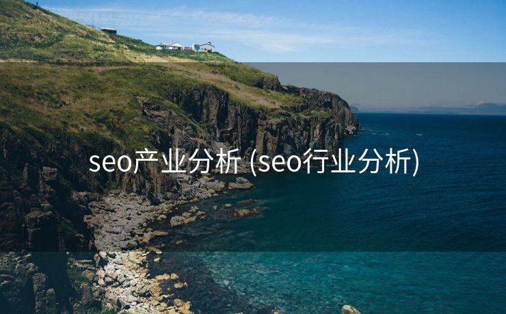 seo产业分析 (seo行业分析)
