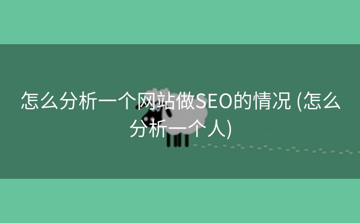怎么分析一个网站做SEO的情况 (怎么分析一个人)
