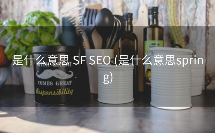 是什么意思 SF SEO (是什么意思spring)