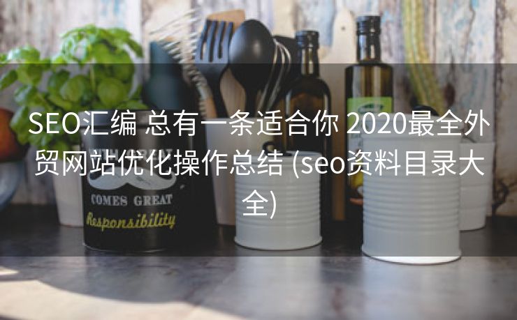 SEO汇编 总有一条适合你 2020最全外贸网站优化操作总结 (seo资料目录大全)