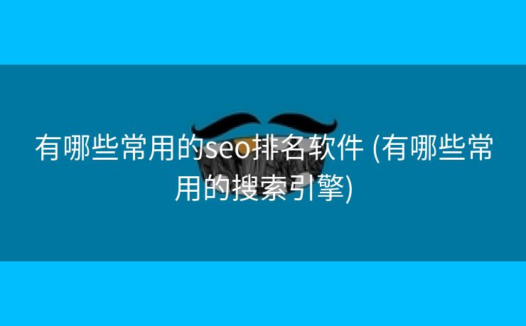 有哪些常用的seo排名软件 (有哪些常用的搜索引擎)