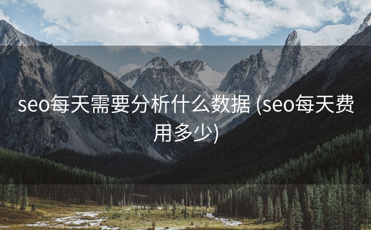 seo每天需要分析什么数据 (seo每天费用多少)