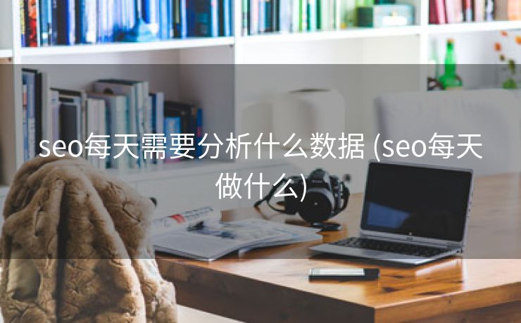 seo每天需要分析什么数据 (seo每天做什么)