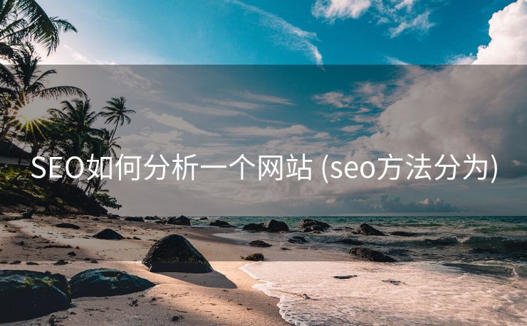SEO如何分析一个网站 (seo方法分为)