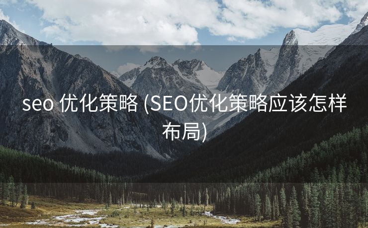 seo 优化策略 (SEO优化策略应该怎样布局)