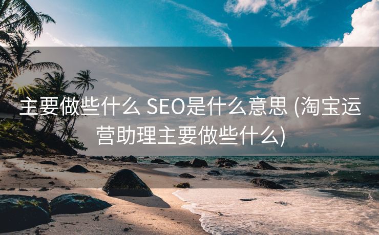 主要做些什么 SEO是什么意思 (淘宝运营助理主要做些什么)