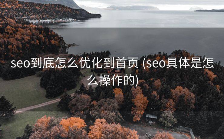 seo到底怎么优化到首页 (seo具体是怎么操作的)