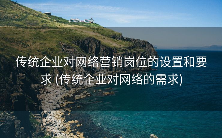 传统企业对网络营销岗位的设置和要求 (传统企业对网络的需求)