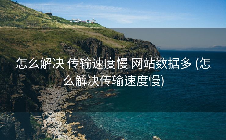 怎么解决 传输速度慢 网站数据多 (怎么解决传输速度慢)