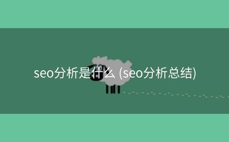 seo分析是什么 (seo分析总结)