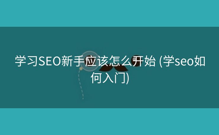 学习SEO新手应该怎么开始 (学seo如何入门)