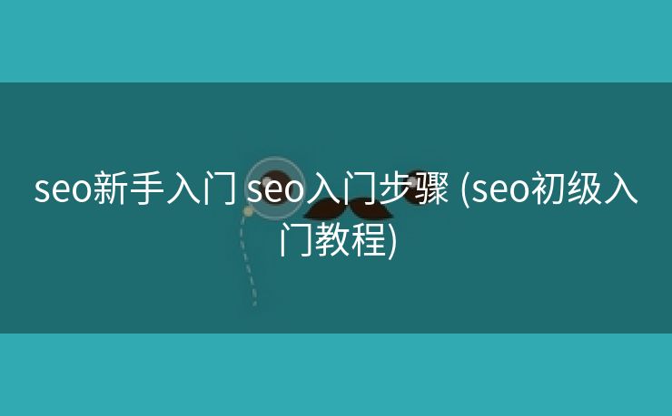seo新手入门 seo入门步骤 (seo初级入门教程)