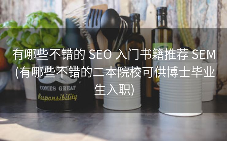 有哪些不错的 SEO 入门书籍推荐 SEM (有哪些不错的二本院校可供博士毕业生入职)