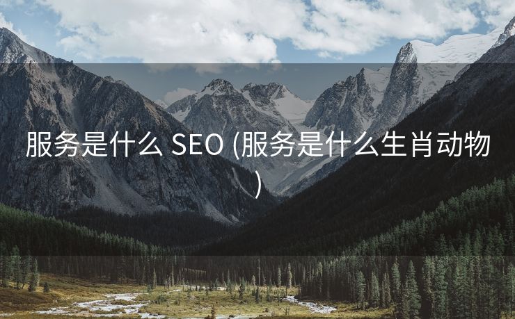 服务是什么 SEO (服务是什么生肖动物)