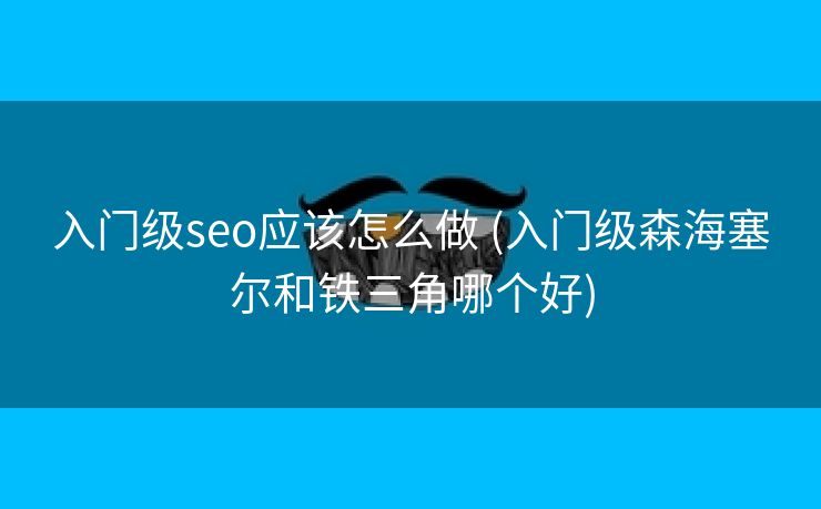 入门级seo应该怎么做 (入门级森海塞尔和铁三角哪个好)
