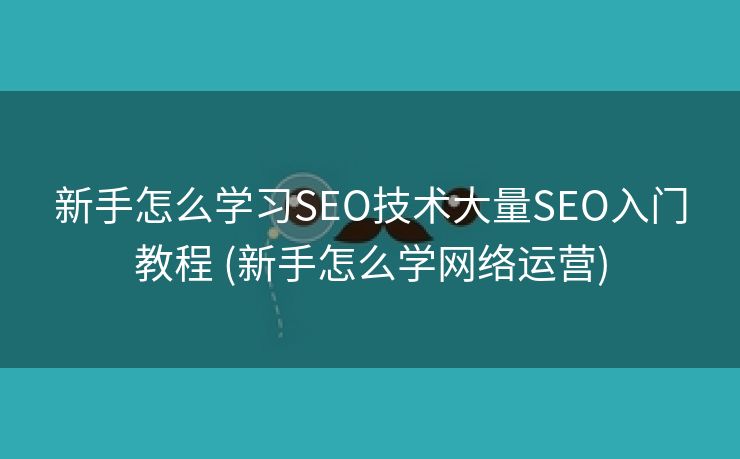 新手怎么学习SEO技术大量SEO入门教程 (新手怎么学网络运营)