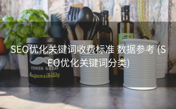 SEO优化关键词收费标准 数据参考 (SEO优化关键词分类)