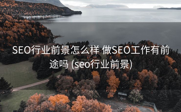 SEO行业前景怎么样 做SEO工作有前途吗 (seo行业前景)