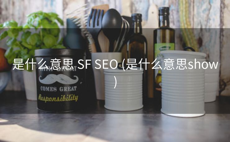 是什么意思 SF SEO (是什么意思show)