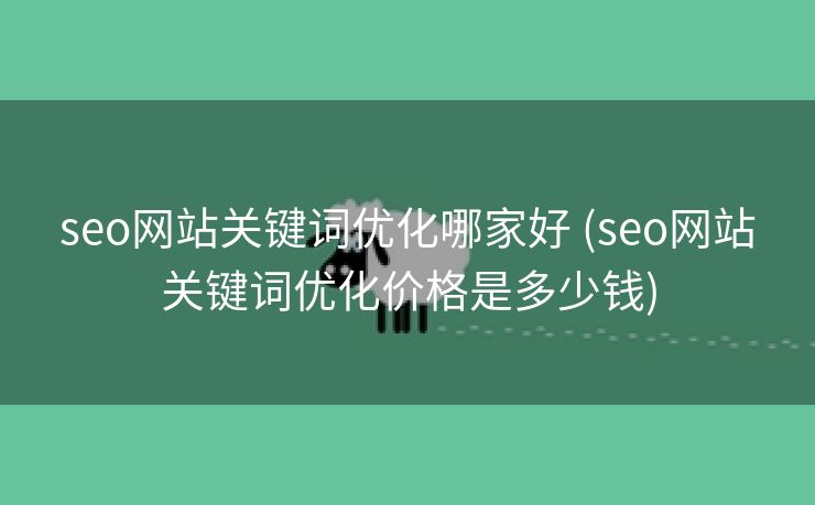 seo网站关键词优化哪家好 (seo网站关键词优化价格是多少钱)