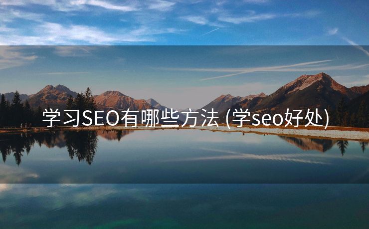 学习SEO有哪些方法 (学seo好处)