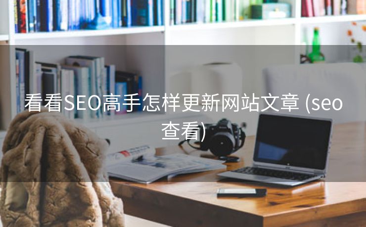 看看SEO高手怎样更新网站文章 (seo查看)