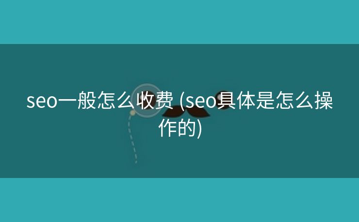 seo一般怎么收费 (seo具体是怎么操作的)