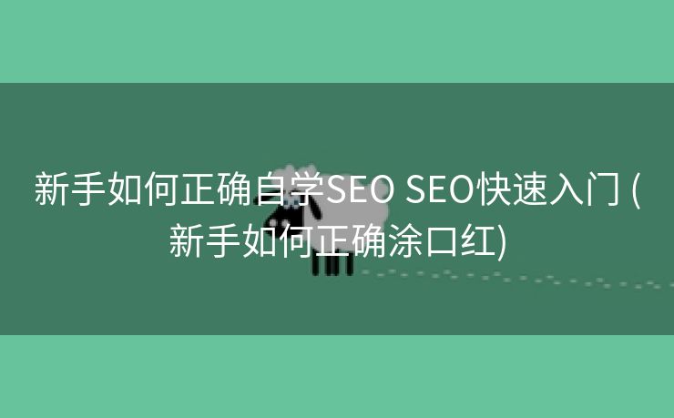 新手如何正确自学SEO SEO快速入门 (新手如何正确涂口红)