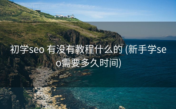 初学seo 有没有教程什么的 (新手学seo需要多久时间)