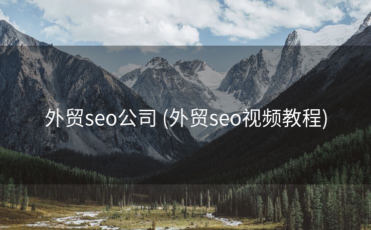 外贸seo公司 (外贸seo视频教程)