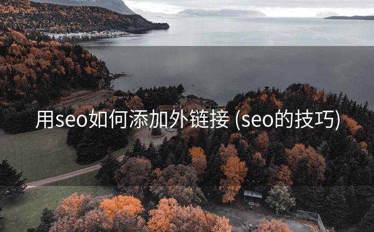 用seo如何添加外链接 (seo的技巧)