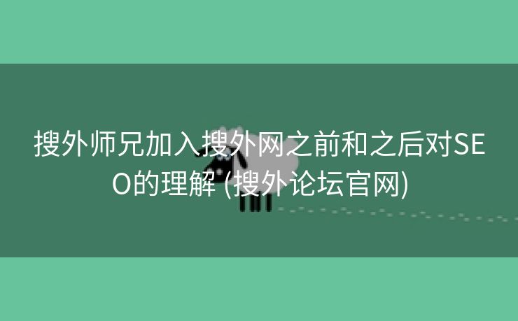 搜外师兄加入搜外网之前和之后对SEO的理解 (搜外论坛官网)