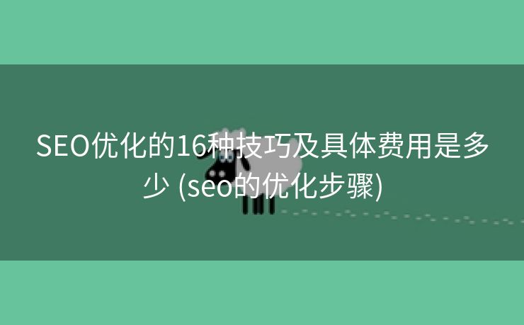SEO优化的16种技巧及具体费用是多少 (seo的优化步骤)