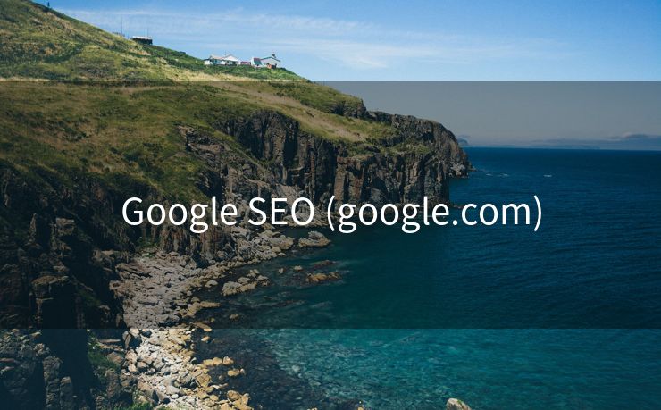 Google SEO (google.com)